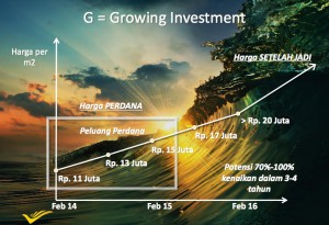 Growing Investment K2 park