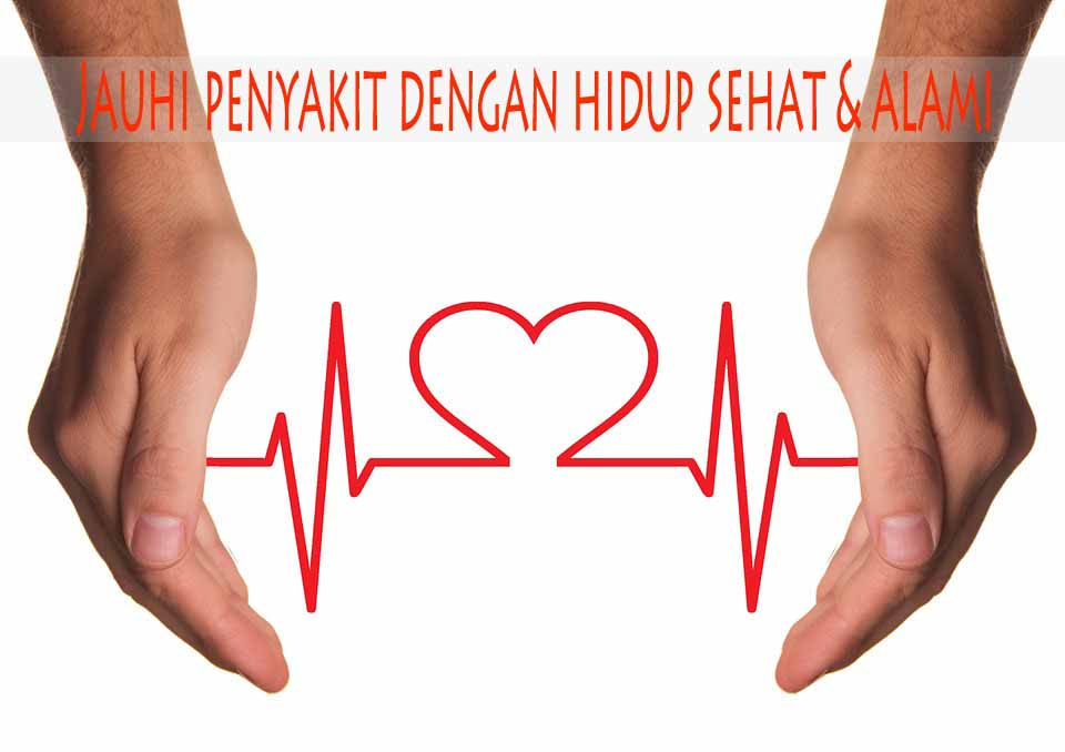 heart-care-1040227_960_720 copy